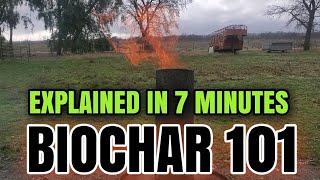 EVERYTHING YOU ever WANTED to KNOW about BIOCHAR 🔥 [upl. by Centonze38]