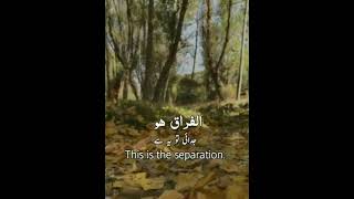 beautiful Arabic nasheed nasheed NasheedClub [upl. by Naehs424]