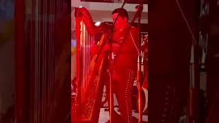 Amazing Mexican Harp Mariachi Musician shorts harp mexicanmusic [upl. by Ahcarb]