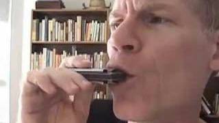 Modern Blues Harmonica  Harlem riff 2 Gussow112 [upl. by Groves]