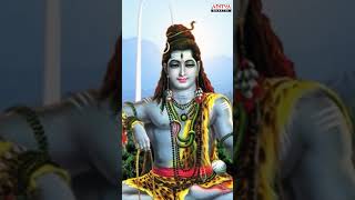 Blessings Of Lord Shiva🙏 OmkaramSrusthi lordshivabhakthisongs newdevotionalsongs adityabhakthi [upl. by Atnahs]