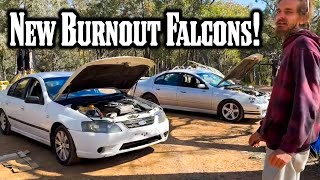 We Bought Ford Falcon Burnout Cars Entered Our First Burnout Comp [upl. by Judon]