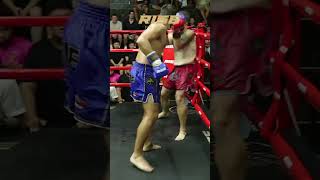 🇦🇺 Australia vs Italy 🇮🇹  Explosive Muay Thai Knockout Highlights  Fierce Battle in the Ring [upl. by Rachel]