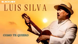 Luis Silva  Como Te Quiero Audio Oficial [upl. by Ereynihc]