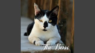 The Boss [upl. by Ayikin]