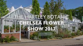 Hartley Botanic RHS 2017 Timelapse [upl. by Senaj140]