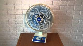 Lakewood Model 1200 White Grille Oscillating Fan [upl. by Affay]