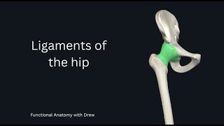 Hip Ligaments [upl. by Skipp]