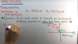 ✅Todo sobre VECTORES Física 𝙈𝘼𝙎𝙏𝙀𝙍𝘾𝙇𝘼𝙎𝙎 𝙥𝙖𝙧𝙖 𝙨𝙚𝙧 𝙀𝙭𝙥𝙚𝙧𝙩𝙤 😎​🫵​💯​ [upl. by Sillyhp]