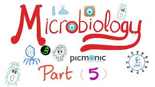 Microbiology  Bacillus anthracis Bacillus cereus Mycobacteria TB Leprosy  Picmonic  Part 5 [upl. by Odradlig]