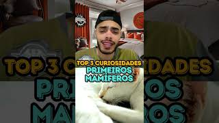 PRIMEIROS MAMÍFEROS  TOP 3 CURIOSIDADES [upl. by Eittah]