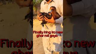 Allhumdulilah King or uski shahzadiyu ko new ghr me shift kar diya 🥹❤️ azharfarming minivlog [upl. by Arin768]