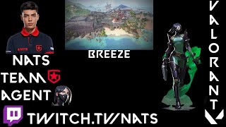 25 Kills Gambit nAts Pro Viper  DA cacanBREEZE [upl. by Julide]