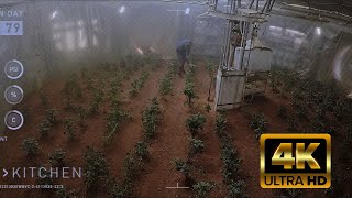 Martian Grown Potatoes 4K Scene [upl. by Royden]