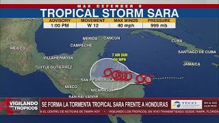 Se forma la tormenta tropical Sara en el Caribe frente a la costa de Honduras [upl. by Nennahs]