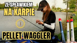 JAK ŁOWIĘ KARPIE NA SPŁAWIK PELLET WAGGLER  SPŁAWIK BISON Z DYSKIEM  RYBY Z PODLASIA [upl. by Noiram]