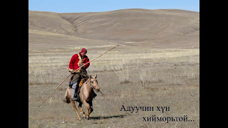 aduuchin zaluu Дүүгээрээ гангарна аа [upl. by Ahsikel]