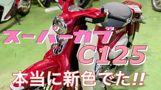 【JA58】スーパーカブC125❗️めちゃくちゃいいじゃん❗️告知あります❗️最後までご覧下さい❗️あなたの街のバイク屋さん❗️バイクショップレッドウィングマン❗️ [upl. by Luas]