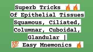 Super Tricks Of All Types of Epithelial Tissues amp Their Examples [upl. by Yllehs]