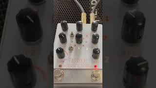 Pladask Elektrisk Fabrikat delay pedal with Agile Legacy 627 baritone guitar sad riff [upl. by Elyssa]