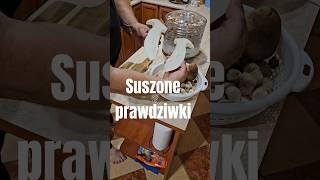 Robaczywe Sprawdzamy grzyby do suszenia 👌suszone grzybyborowikiprawdziwkigrzyby short [upl. by Arihs320]