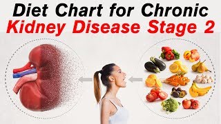 Diet For Chronic Kidney Disease Patients  CKD Stage 2 Diet Plan [upl. by Huskamp]