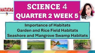 SCIENCE 4 QUARTER 2 WEEK 5 IMPORTANCE OF HABITATS MATATAG CURRICULUM science4quarter2week5 [upl. by Emil994]