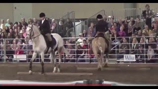 Endo the Blind and Pip Working Equitation at WA State Horse Expo [upl. by Liza]