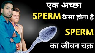 एक अच्छा स्पर्म कैसा होता है  SPERM का जीवन चक्र  in hindi  by amit sir [upl. by Yellehs]