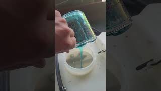 How to kill gypsy moths caterpillars without pesticides with dish soap guaranteed to work [upl. by Oel]