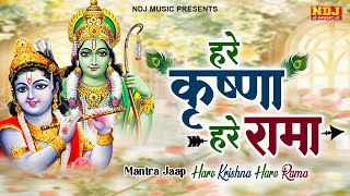 हरे कृष्ण हरे कृष्णा हरे राम हरे रामा  Hare Krishan Hare Rama  Iskcon Kirtan hareramaharekrishna [upl. by Ycrem]