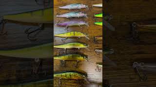 Megabass Vision 110 Organization shorts bassfishing jerkbaitfishing megabass youtubeshorts [upl. by Nelleyram]