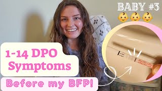 How I knew I was pregnant before my bfp  TWW  114 DPO symptoms [upl. by Espy]