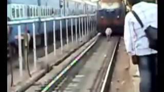 Cow In Front Of Train On Railway Track [upl. by Fern]