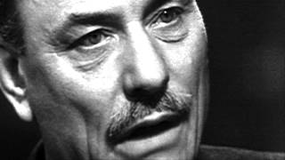 Enoch Powell  Britain in the EU 1976 [upl. by Nenney]