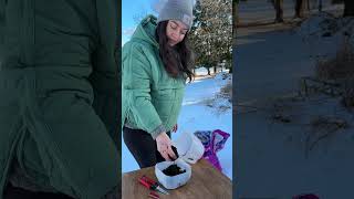 Sowing seeds in milk jugs  no grow lights needed gardeningvideos wintergardening seedstarting [upl. by Louanne]