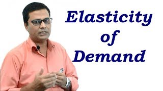 Elasticity of Demand in Hindi [upl. by Vareck]