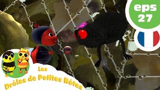 DRÔLES DE PETITES BÊTES  EP13  La plante géante [upl. by Ttereve]