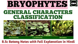 BRYOPHYTES IntroductionGeneral CharactersClassificationBsc Botany Notes with Full Explanation [upl. by Shem]