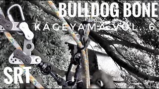 Kageyama Tree Service Vol 6  Bulldog Bone  Husqvarna T536LiXP  DMM Captain Hook [upl. by Clotilde]