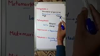 Difference Between Metagenesis Metamorphosis Metamerism And Metastasis  neet short [upl. by Tserof233]