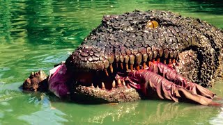 New Best Crocodile Horror Movies 2024  Free Hollywood Movies English Full HD [upl. by Stent]