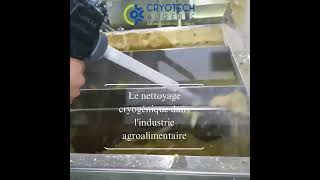 Éclat Cryogénique  Nettoyage Révolutionnaire en Agroalimentaire [upl. by Miarfe298]