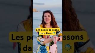 Les petits poissons 🐠 dans l’eau à la mer 🌊 maternelle education french comptines heykids [upl. by Nhabois]