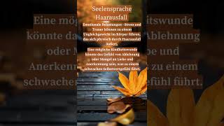 Seelensprache Haarausfall [upl. by Papp]