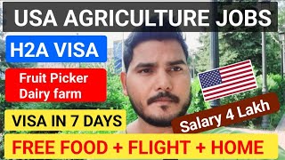 Farm Jobs USA 🇺🇸  Agricultur work visa H2A  visa in 7 days  No Age Limit [upl. by Hermione]