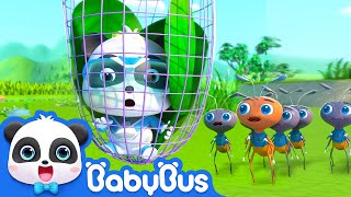 Baby Panda is Trapped  Super Panda Rescue Team  Kids Cartoon  BabyBus [upl. by Nilad]