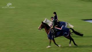 Championnat de France du cheval de chasse 2024 [upl. by Joelle662]