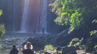 Whangarei Falls [upl. by Riatsala]