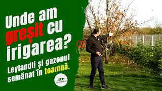 Irigarea la Leylandii amp Gazonul semănat în octombrie îl mai tundem îngrășământ Mai semănăm [upl. by Baun]